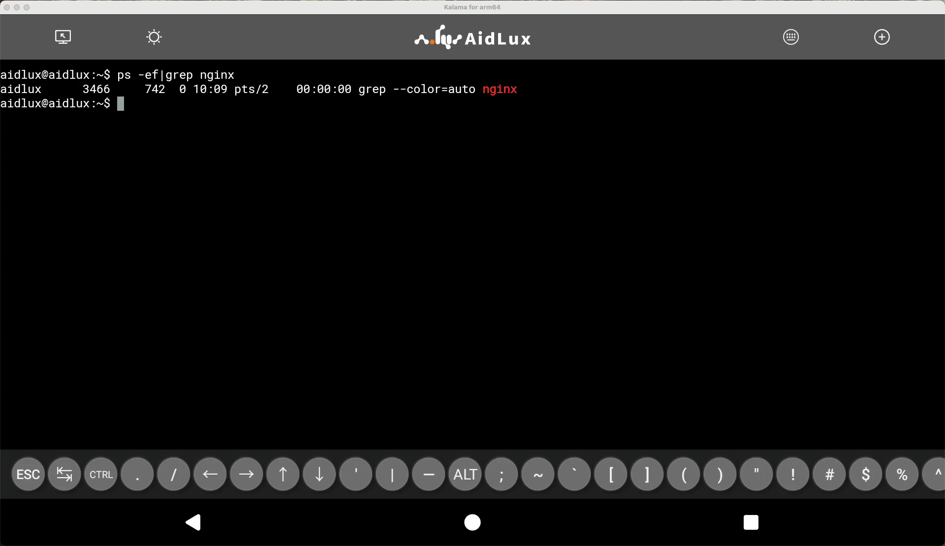 check nginx process