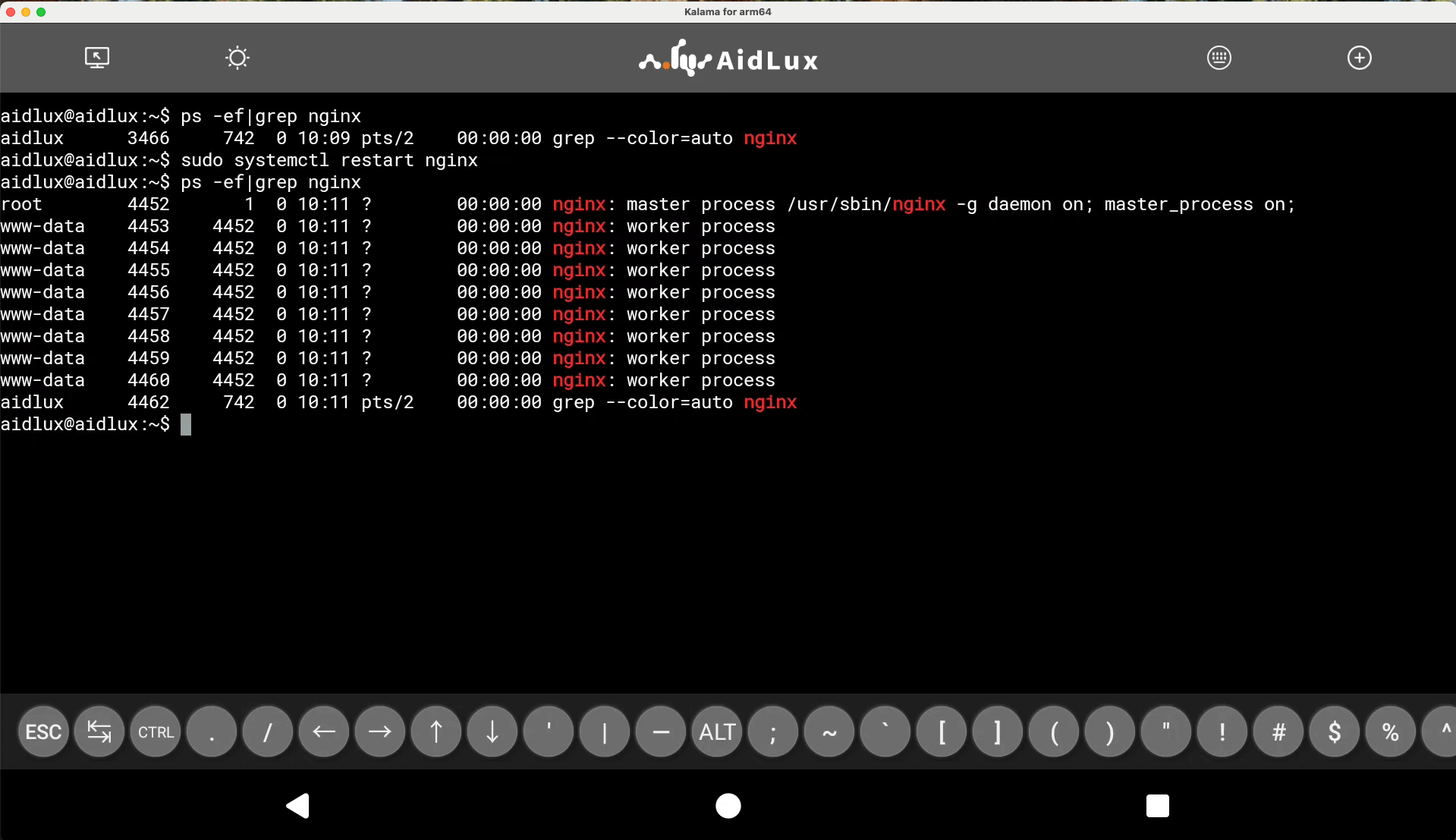 Start and check nginx